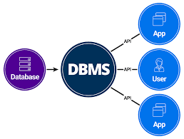 DBMS